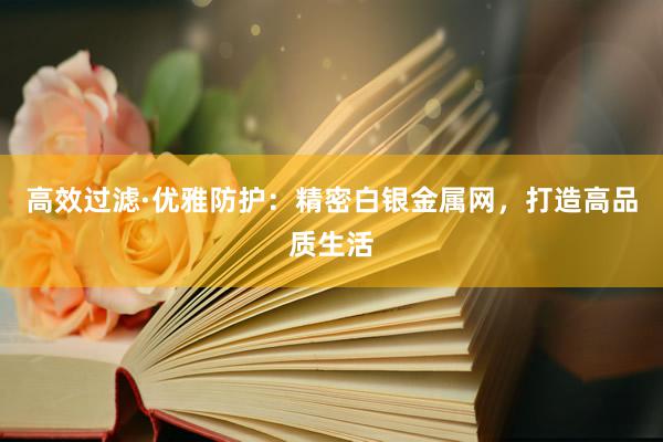 高效过滤·优雅防护：精密白银金属网，打造高品质生活